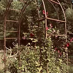 Διαμέρισμα Waldzauber Am *