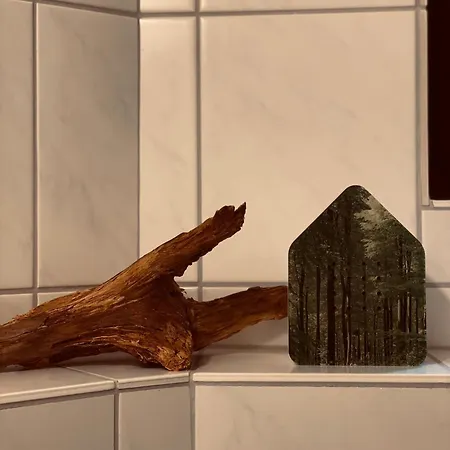 Waldzauber Am كلاوستال - زيلرفيلد