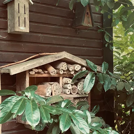 Waldzauber Am شقة