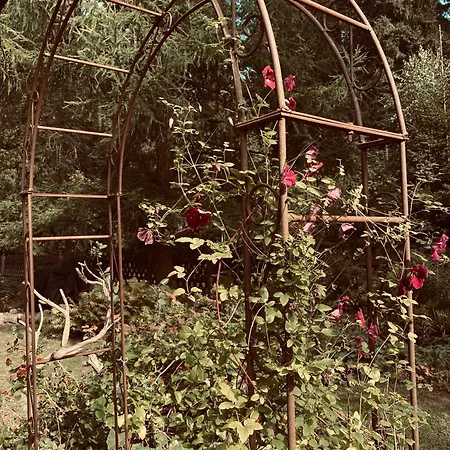 شقة Waldzauber Am *