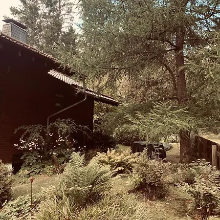 Waldzauber Am كلاوستال - زيلرفيلد